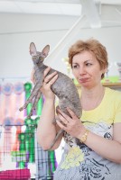 26 мая г.Ярославль - Лучший котенок монопородного шоу, лучший в породе!